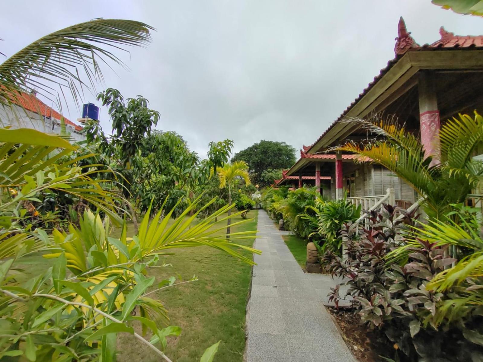 The Canda Mushroom Beach Lembongan المظهر الخارجي الصورة
